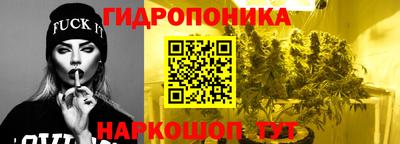 прущая мука Кимры