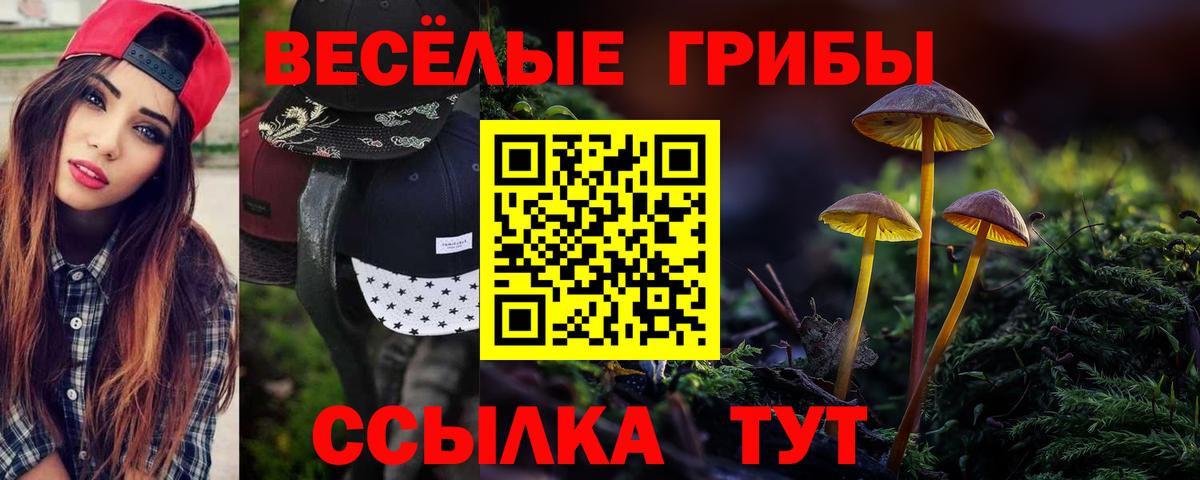Кинель  Псилоцибиновые грибы GOLDEN TEACHER  Псилоцибиновые грибы прущие грибы  Вход с VPN 